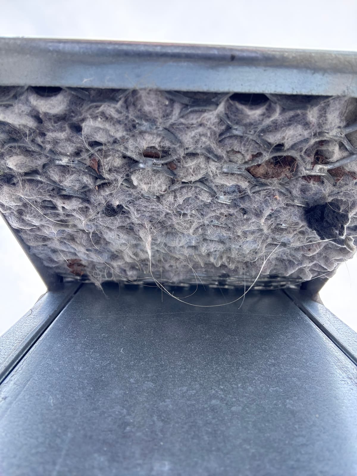 A roof dryer vent screen matted with lint, a screen that is not allowed on dryer exhausts
