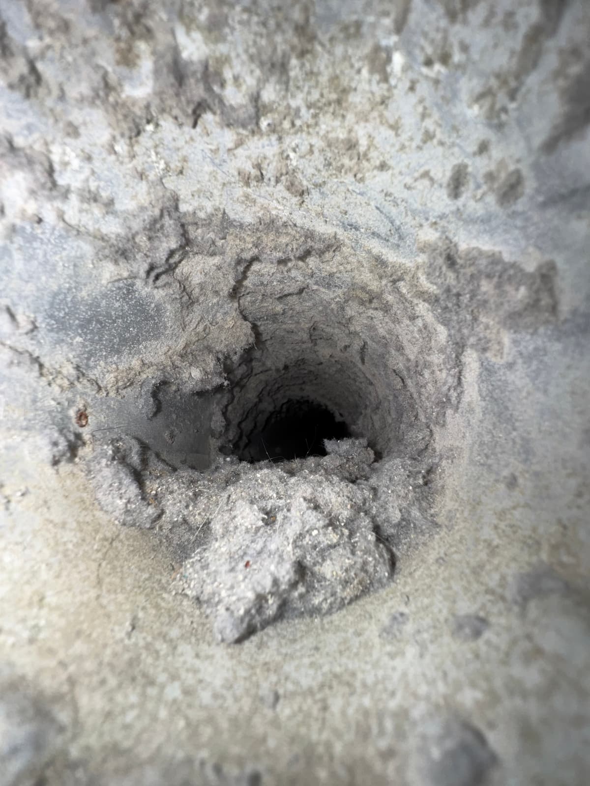 A dryer vent lined with lint before cleaning at a Bayonet Point home