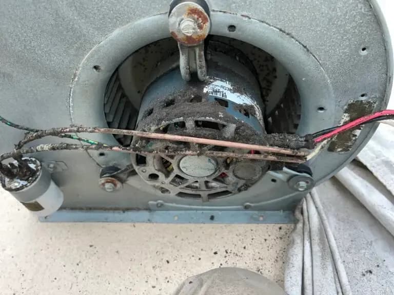 Blower wheel before cleaning, every blade caked with compacted dust