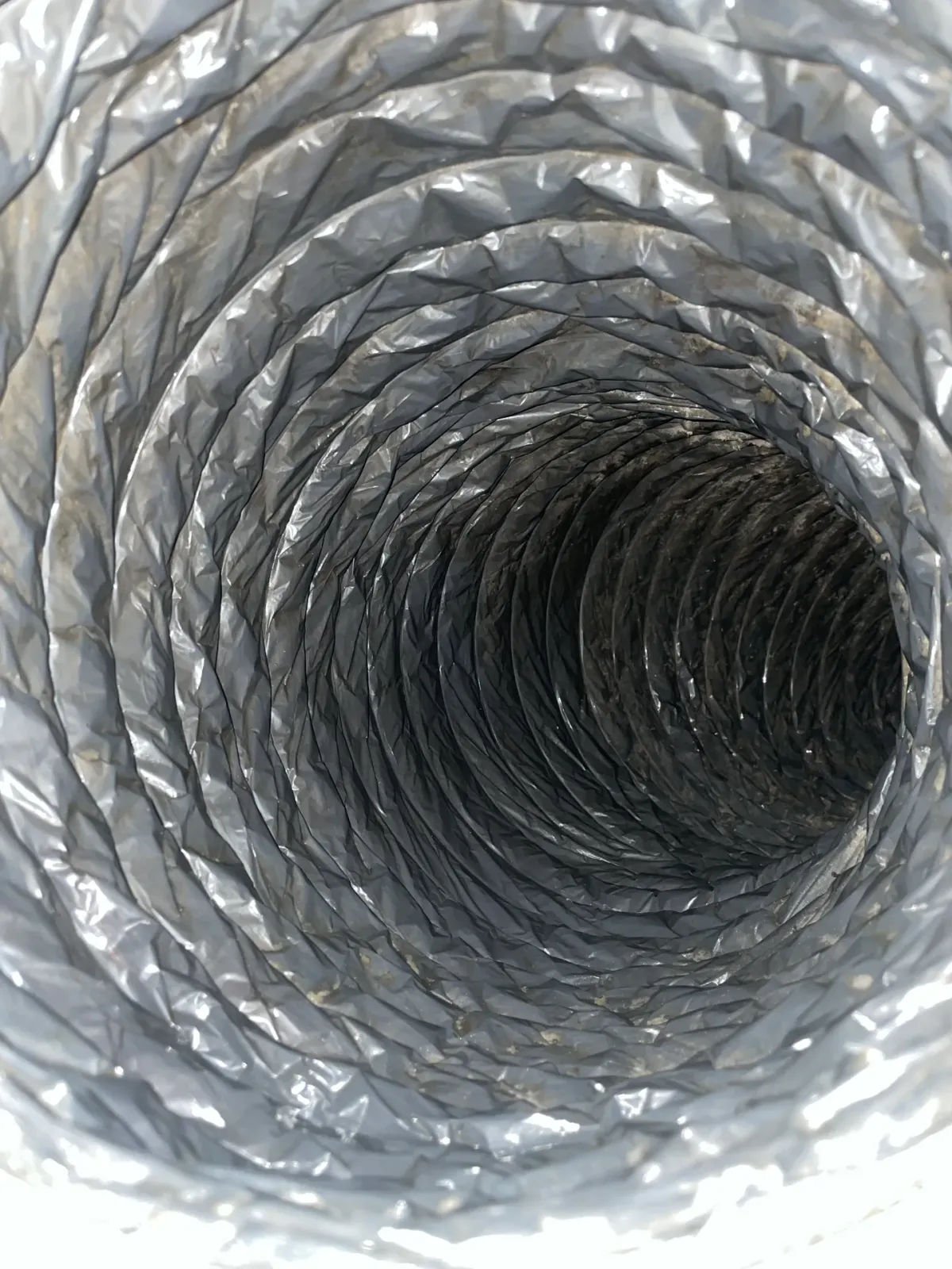 The same branch run after cleaning, the liner dark and clear of build-up