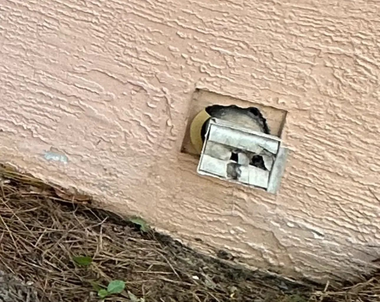 A blocked dryer vent exhaust on a Florida home