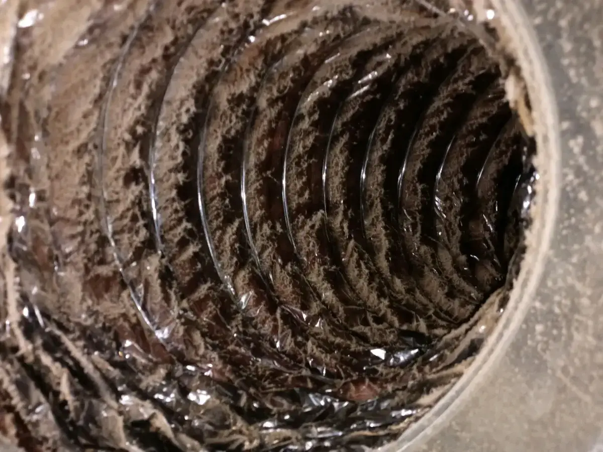 Rough dust buildup inside an older duct run