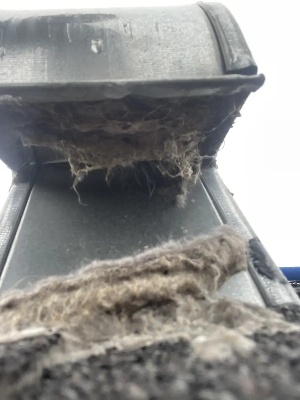 Heavy lint inside a dryer vent wall box before cleaning