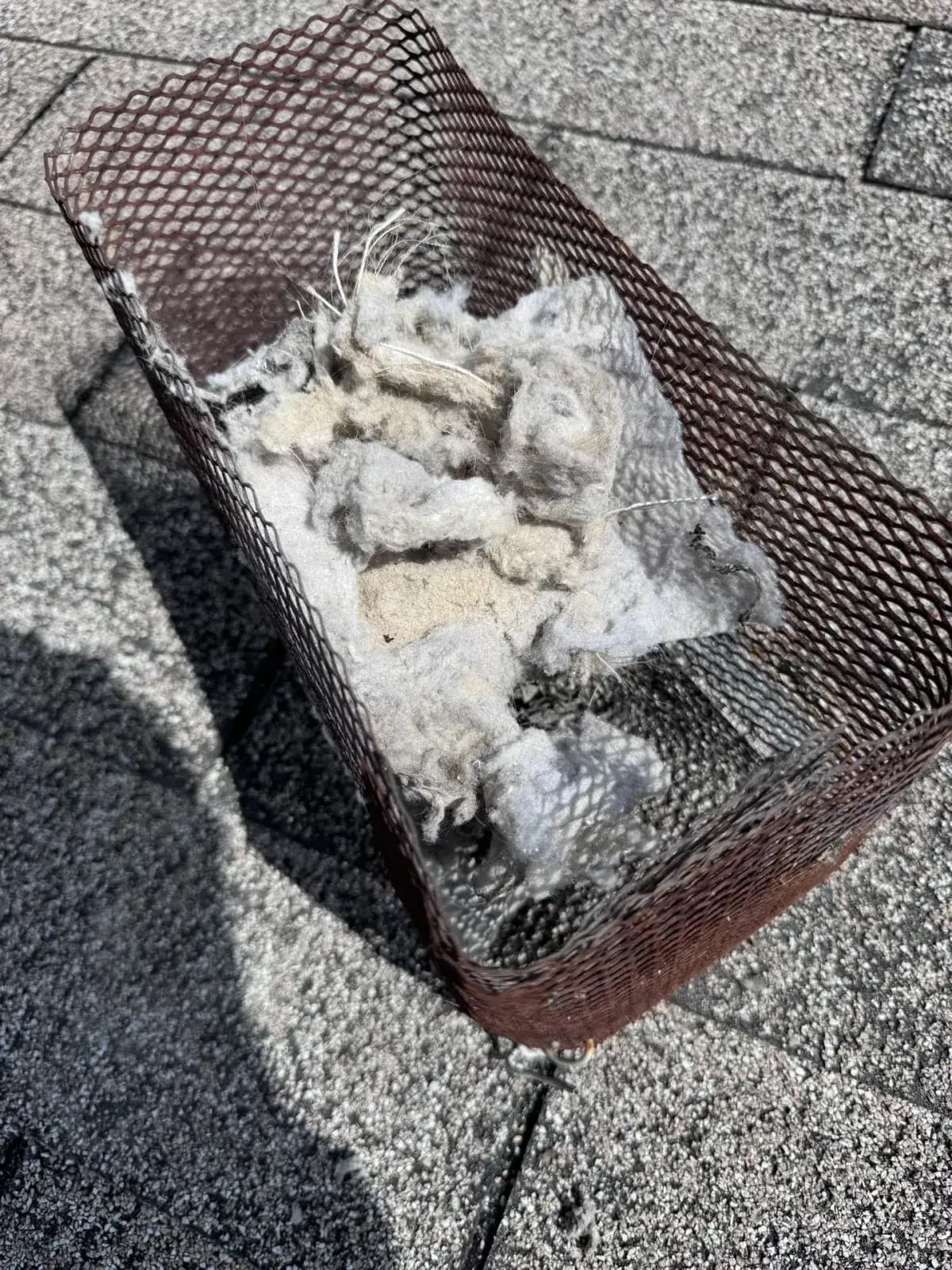 Lint packed into a dryer vent cage on a roof