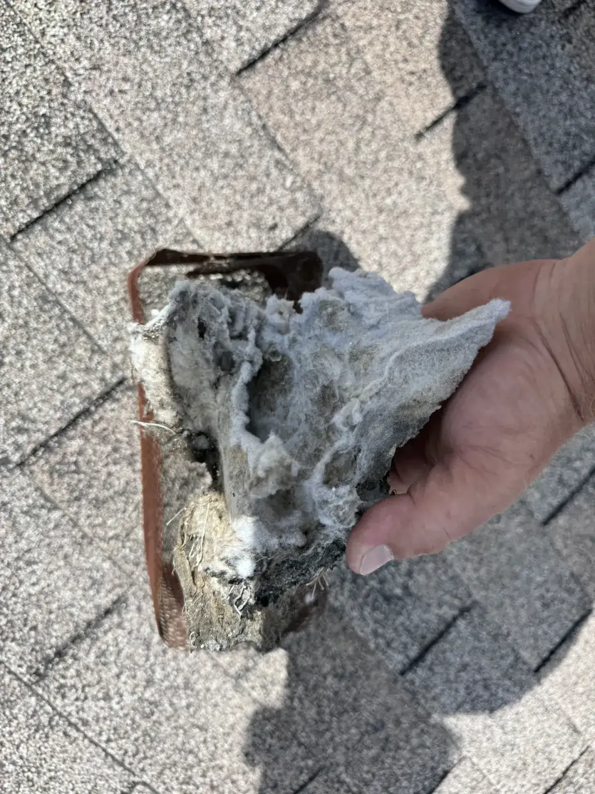 A thick mat of lint pulled from a roof dryer vent