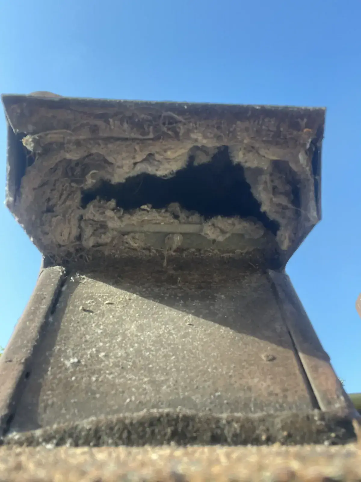 Lint packed under a roof dryer vent hood