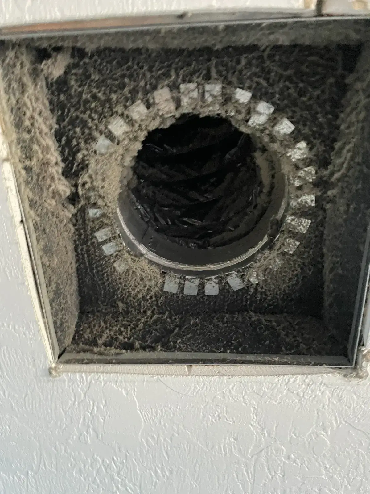 Lint packed into a dryer vent wall box