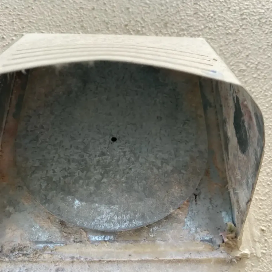 The same wall dryer vent hood cleaned out