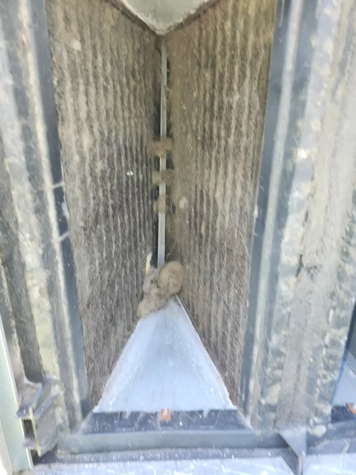 Evaporator coil before cleaning, the fins packed solid with debris