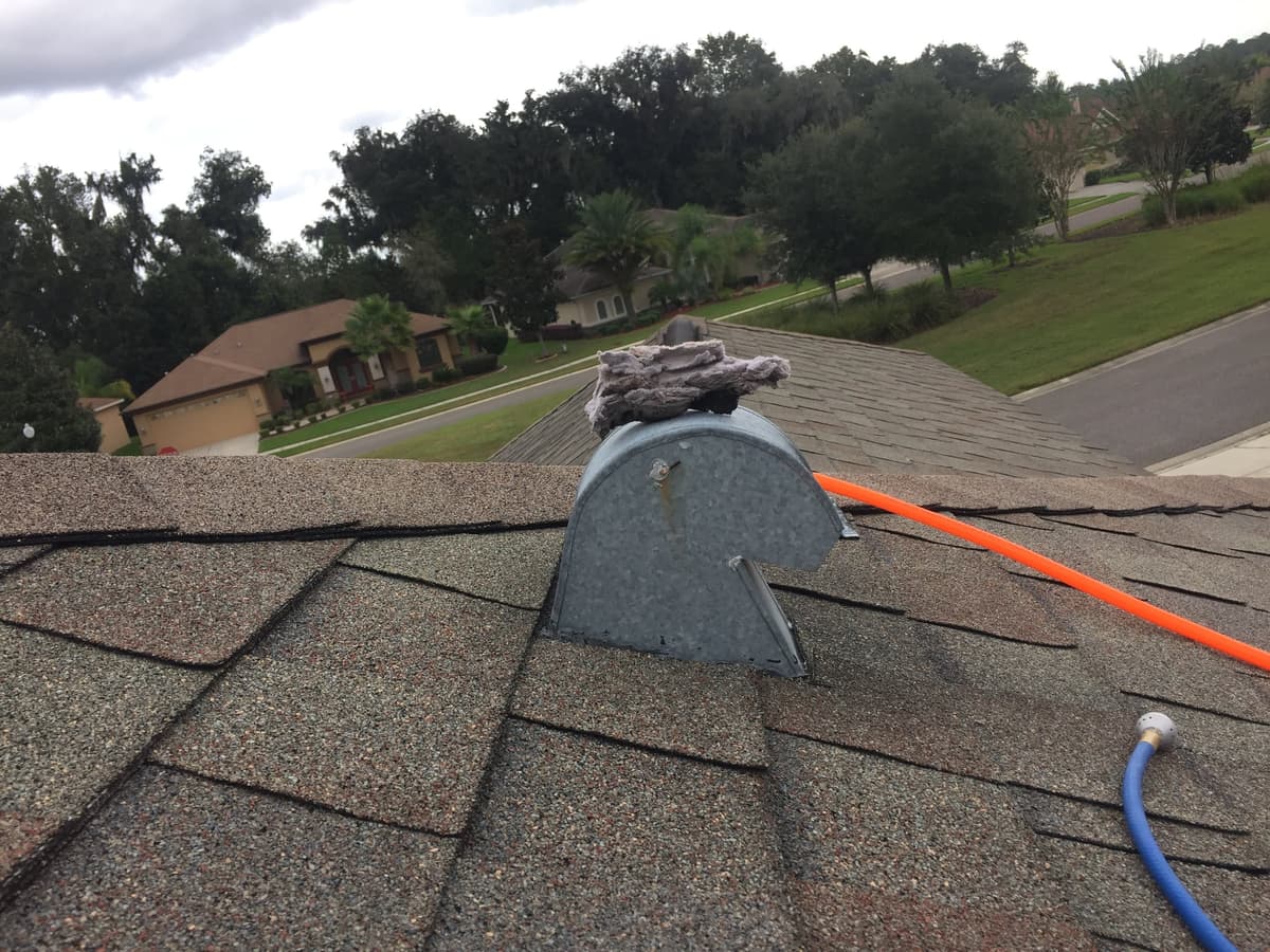 Lint pushed out of a roof dryer vent during cleaning, with a residential neighborhood behind