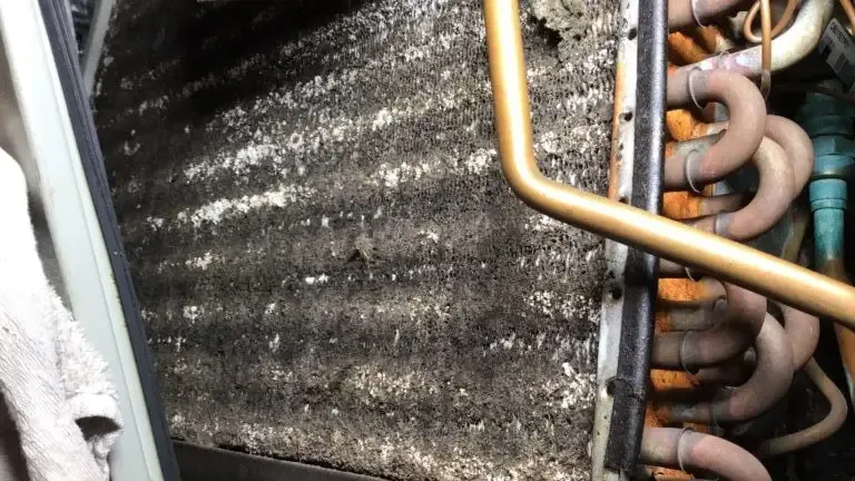 Evaporator coil in a Florida air handler, matted with grey dust between the fins