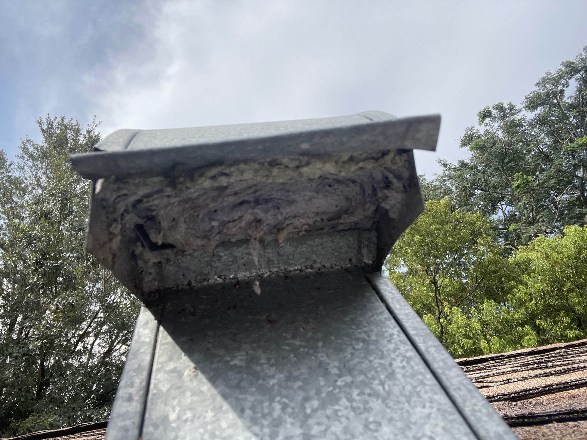 A roof dryer vent cap packed solid with lint before cleaning
